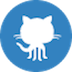 GitHub Profile